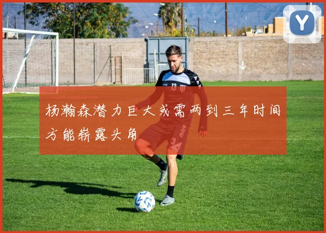 杨瀚森潜力巨大或需两到三年时间方能崭露头角