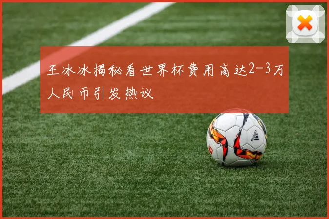 王冰冰揭秘看世界杯费用高达2-3万人民币引发热议