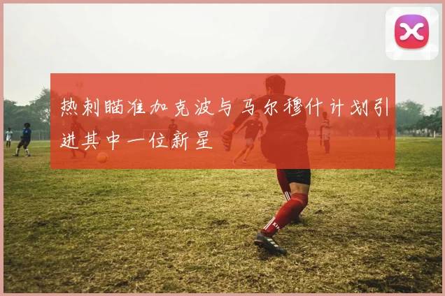 热刺瞄准加克波与马尔穆什计划引进其中一位新星