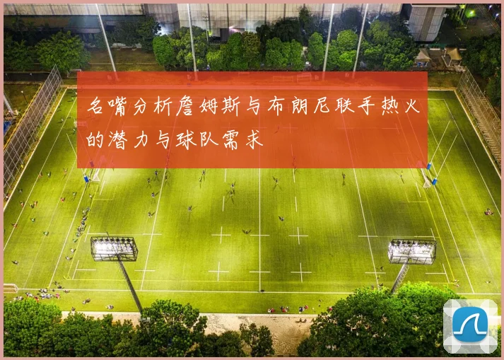 名嘴分析詹姆斯与布朗尼联手热火的潜力与球队需求
