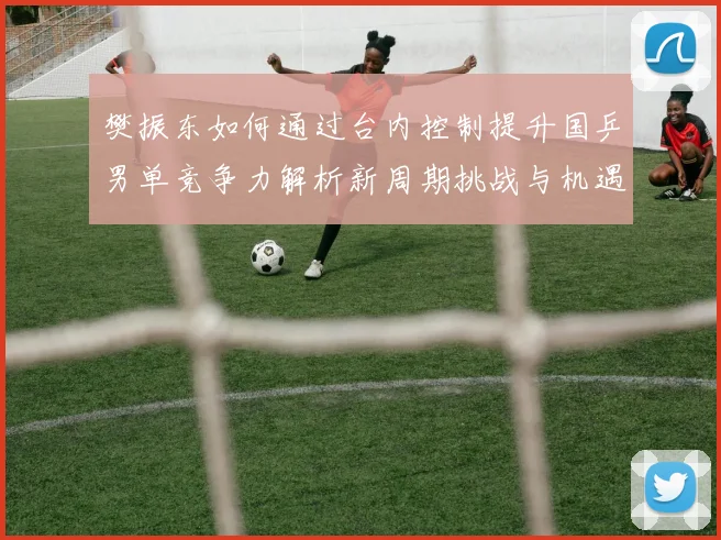 樊振东如何通过台内控制提升国乒男单竞争力解析新周期挑战与机遇